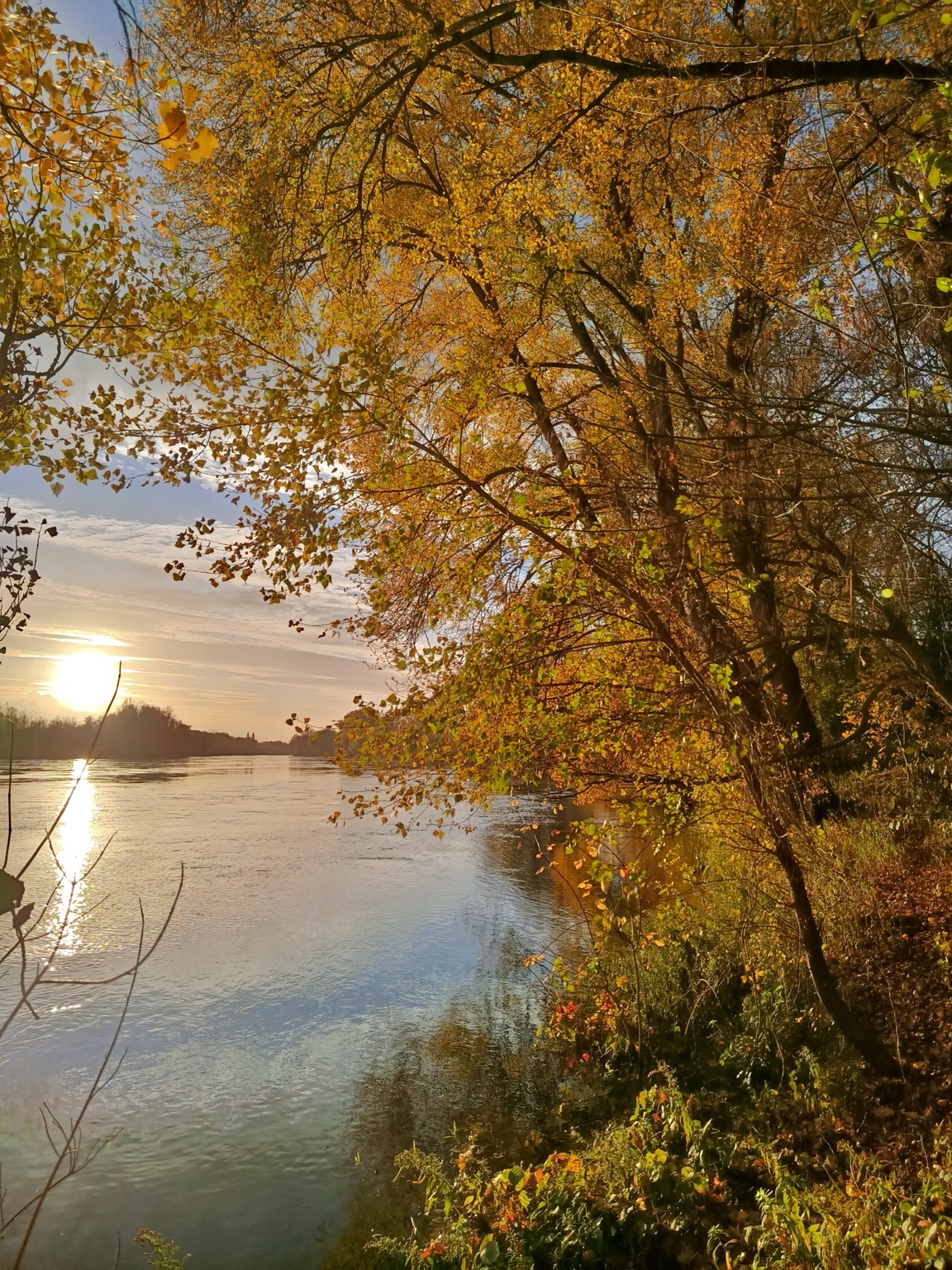 Lumière dorée sur la rivière, entre les branches et leur reflet dans l’eau